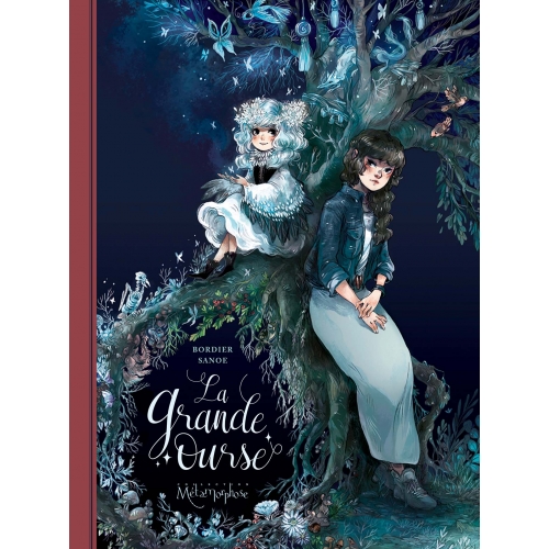 Première de couverture de la BD.
