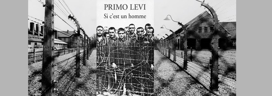 Si c’est un homme de Primo Levi – Les Curiosités du Caméléon