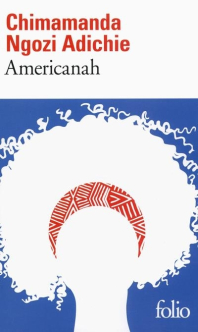 americanah.jpg