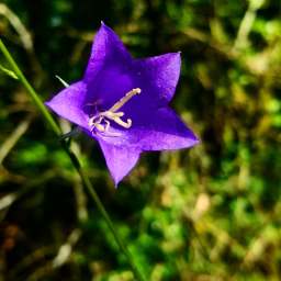 64853952_1546931618776677_4048886882782674944_n