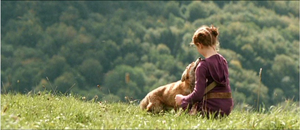 Image extraite du film : le Renard et l'Enfant.