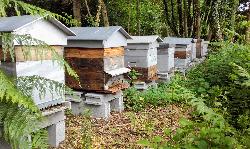 drivedesboisdanjou-photocouverture