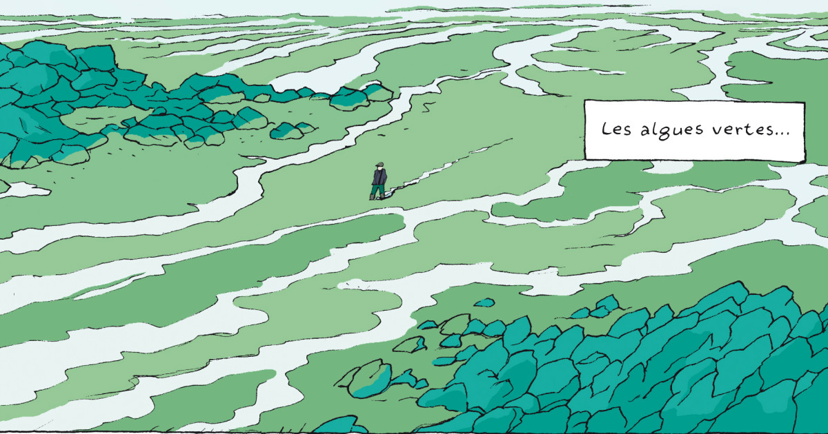 alguesverteslhistoireinterdite-inesleraud-pierrevanhove-width_1977_height_989_x_0_y_304