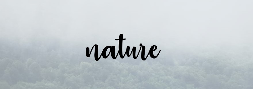 Diapositive6